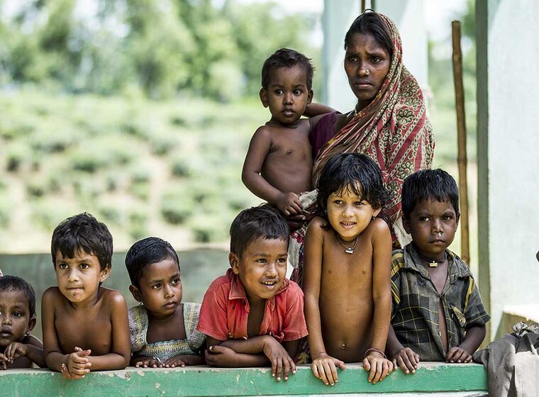 Moxieheal Foundation