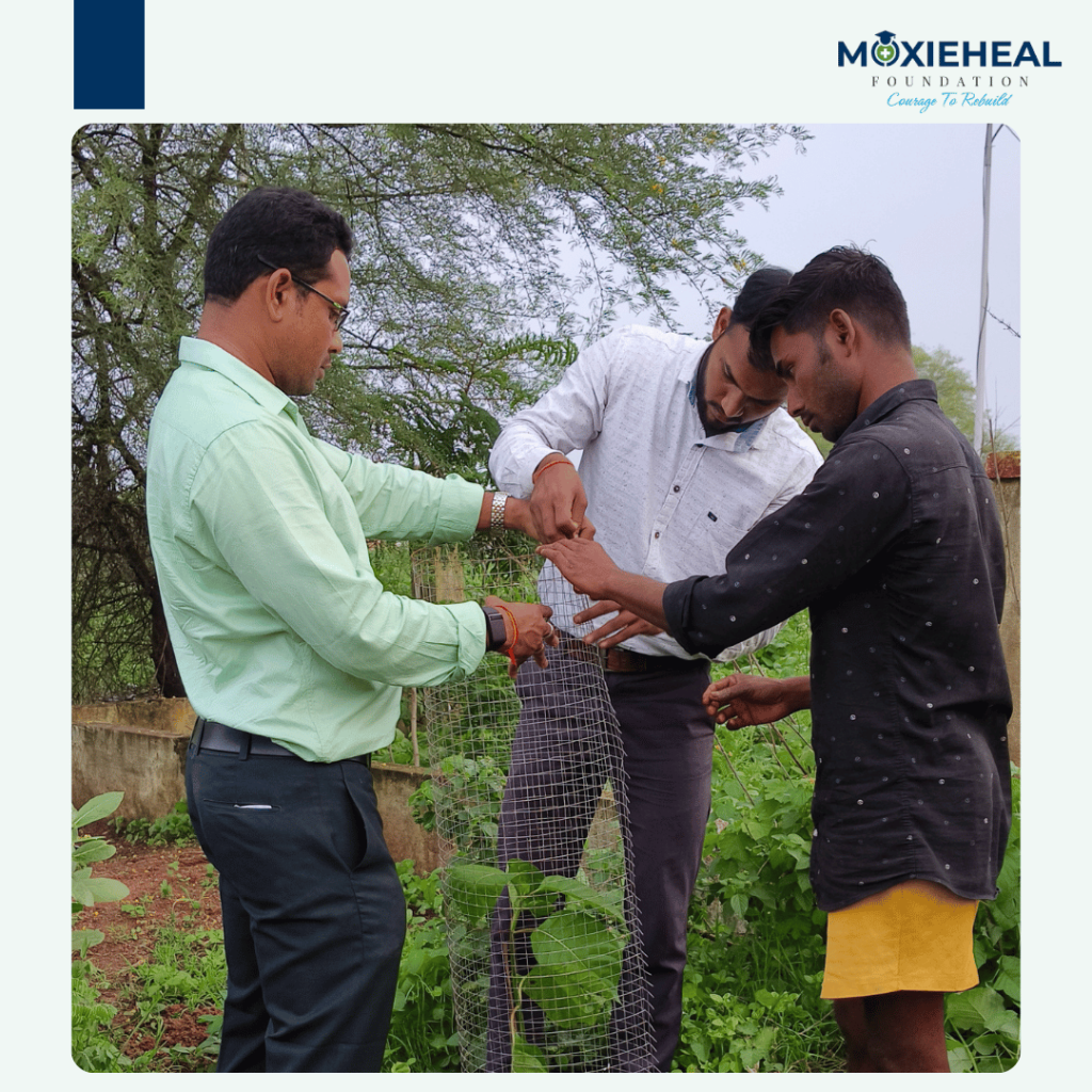 Moxiheal 1 Nature Conservation Day 2024​