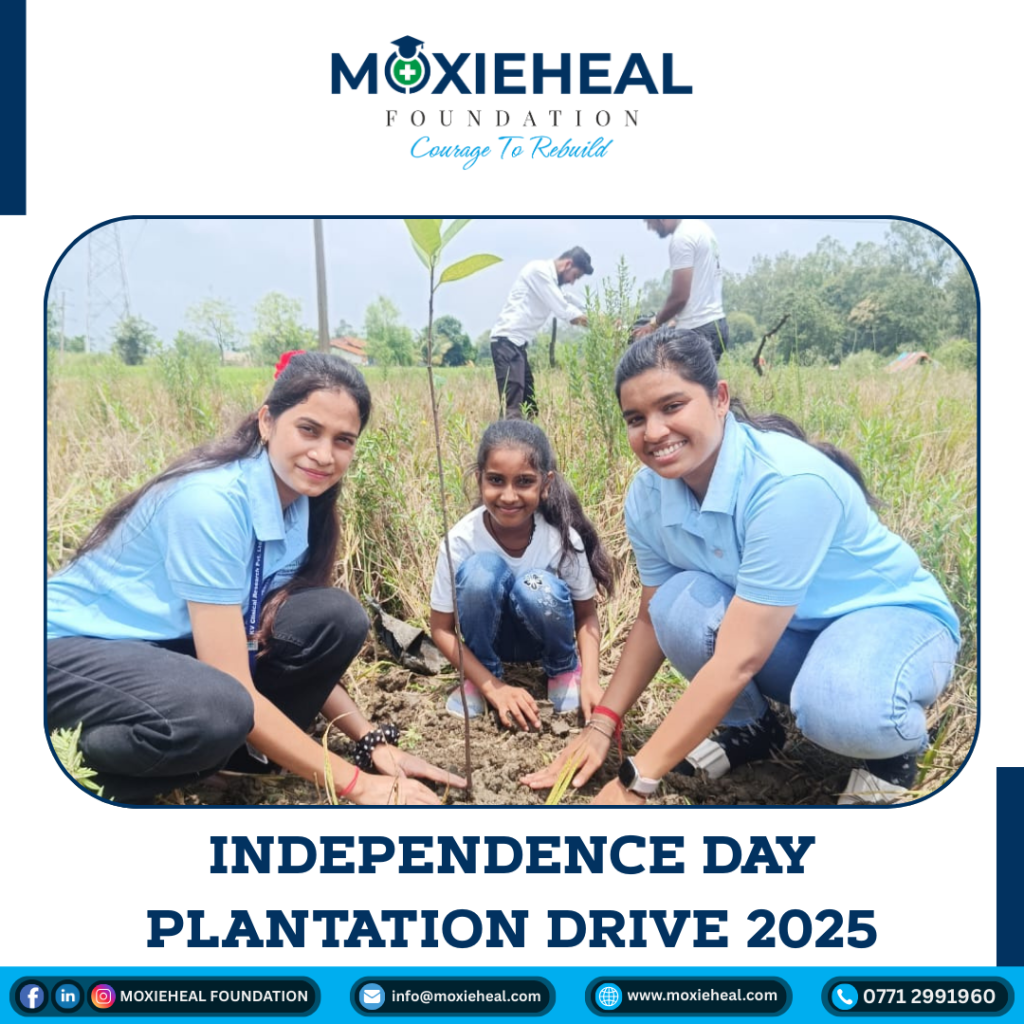 Plantation Drive